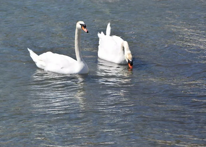 Clio's House 別荘 Órmos